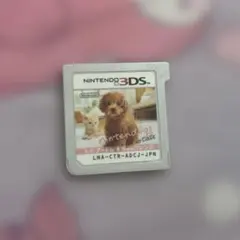 トイ・プードル&newフレンズ