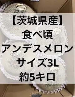⑨【茨城県産】 食べ頃アンデスメロン サイズ3L 約5キロのサムネイル