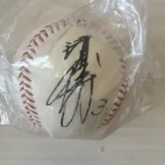 西武ライオンズ サイン入り野球ボール