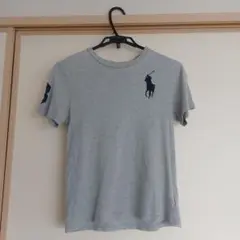 Polo Ralph Lauren グレー Tシャツ Mサイズ