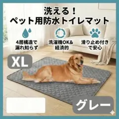 Item thumbnail for item b52a55e2-641e-4786-a6a7-4a1fa124c597