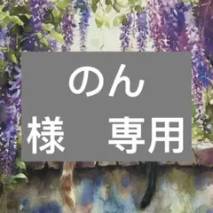 のん様　専用