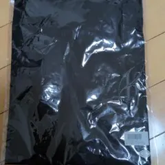 氷室京介　LAST GIGS Tシャツ XL ブラック