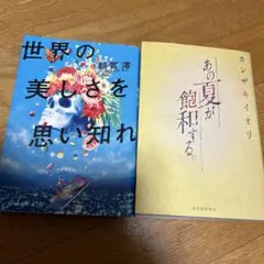 世界の美しさを思い知れ　あの夏が飽和する　2冊セット