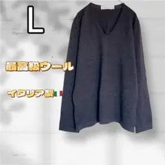 BLUPERVINCA 最高級 メリノウール100% Vネック 無地 イタリア製