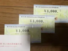 【匿名発送】ビックカメラの株主優待☆3000円分