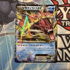 MギャラドスEX RR XY9 破天の怒り 019/080