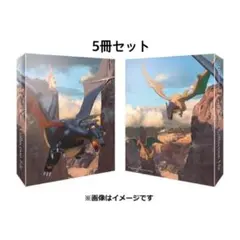 【7個セット】ポケモンカード コレクションファイル 色違いリザードン コレクションファイル 色違いのリザードン – 晴れる屋2