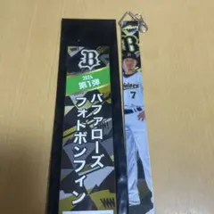 Item thumbnail for item 9b317290-3df5-45ff-8385-17110c8bc6f4