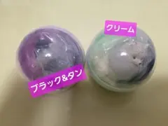 Item thumbnail for item 72d420ff-eee2-4311-805b-e6d353c534e8