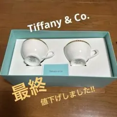 未使用⭐️ティファニー　Tiffany ノーツ　カップ＆ソーサー　プレート　セット ティファニー カップ＆ソーサー 2セット 未使用 未使用