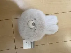 Item thumbnail for item f7a15472-0089-4eed-8317-d09c15221406