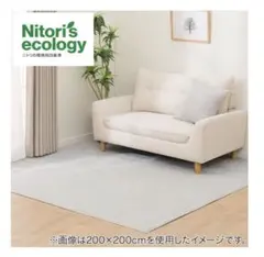【未使用品】ニトリ　オーダーカーペット　グレー　約365cm×約265cm 未使用品】ニトリ オーダーカーペット グレー 約365cm×約265cm - メルカリ
