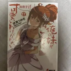 俺の妹がこんなに可愛いわけがない. 17
