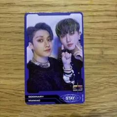 Stray Kids ordinary ペアトレカ バンチャン チャンビン