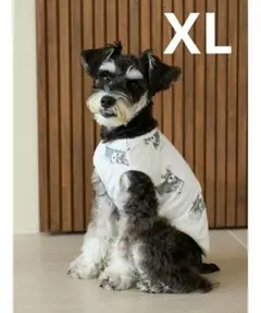 2026年最新】ジェラートピケ シュナウザーの人気アイテム - メルカリ