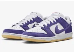 Nike SB Dunk Low Pro Court Purple Gum