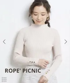 ロペピクニック リブ