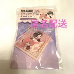 SPY×FAMILY アーニャ　ダミアン　スライドアクリルキーチェーン　未開封