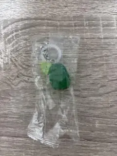 モリゾーとキッコロ めじるしアクセサリー