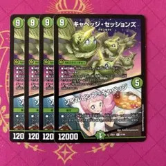 キャベッジセッションズ　ソイルピンプキャベッジ 4枚