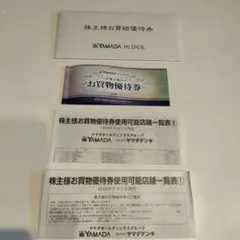 ヤマダ電機お買物優待券 500円10枚セット