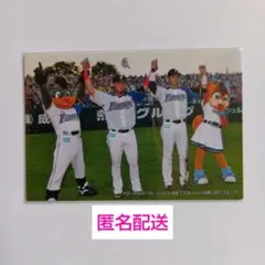 中田翔&大谷翔平 (日本ハム) 2014プロ野球チップス カルビー 野球カード