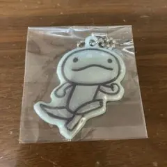 アランジアロンゾ リフレクター　とかげ