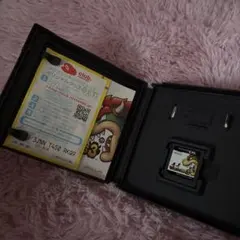 マリオ&ルイージRPG3 ニンテンドーDS