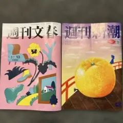 週刊文春 新潮11月13日号