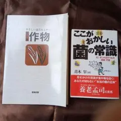 Item thumbnail for item b986f5f2-4ad7-4a7b-afe3-59cf3d8edd36