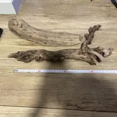 大型流木 約40cm 沈水確認済み 隠れ家にも◎ アクアリウム・爬虫類