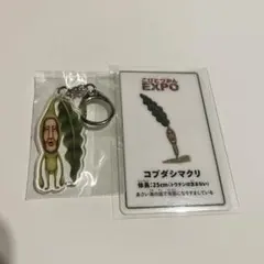 こびとづかんEXPO アクリルキーホルダー＆トレーディングカード　コブダシマクリ