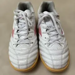 Mizuno MONARCIDA NEO ミズノ　モナルシーダ　23.0のサムネイル
