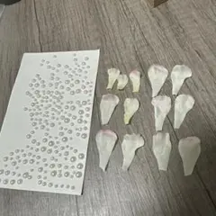 Item thumbnail for item 89a96329-c2fc-4dce-a0ea-48a97c4c076f