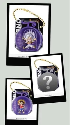 ワンピの実　ミクロブリスターチャーム