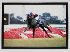 競馬 ビワハヤヒデ パネル GREEN CHANNEL 2000