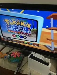 ポケモンチャンネル 番組拡張ディスク　ゲームキューブ　起動確認済み