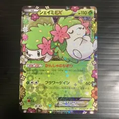 シェイミEX ポケキュン プロモ psa10 PSA10鑑定済〕シェイミEX【P】{212/XY-P}