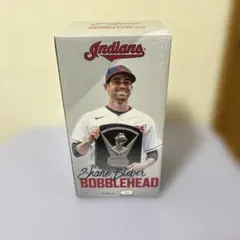 Item thumbnail for item 81c3abbf-2bc4-4c96-b26e-5d3245f8bf21