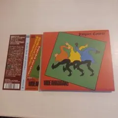 Parquet Courts WIDE AWAKE!　CD