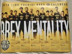 ★希少★TOCHIGI BREX 2018年カレンダー　未使用