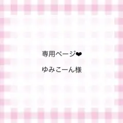 専用ページ‪‪❤︎‬