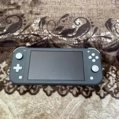 Nintendo Switch Lite グレー 本体ジャンク品付属品なし