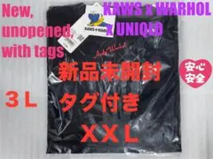 XXL☆新品☆UNIQLO×KAWS＋WARHOL カウズ+ウォーホル UT ⑪