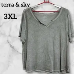 terra & sky 【3XL】グレー 半袖Tシャツ マーブル柄襟ぐりVカット