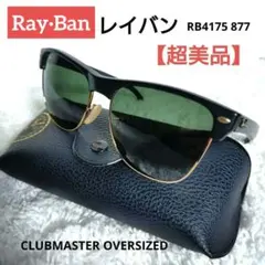 Ray Ban レイバン サングラス RB4175 877 ブラック フレーム