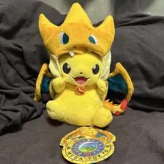 ポケモンセンター限定ポンチョを着たピカチュウぬいぐるみ(メガリザードンY)