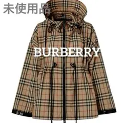 Item thumbnail for item a7772f79-c9e3-474f-8071-5a003a3b98dd