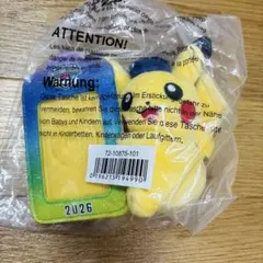 ピカチュウ 自由の女神 ぬいぐるみ ニューヨークポケモンセンター限定
